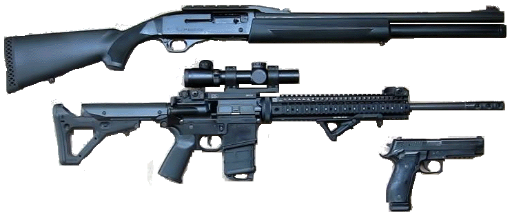 3-gun Graphic