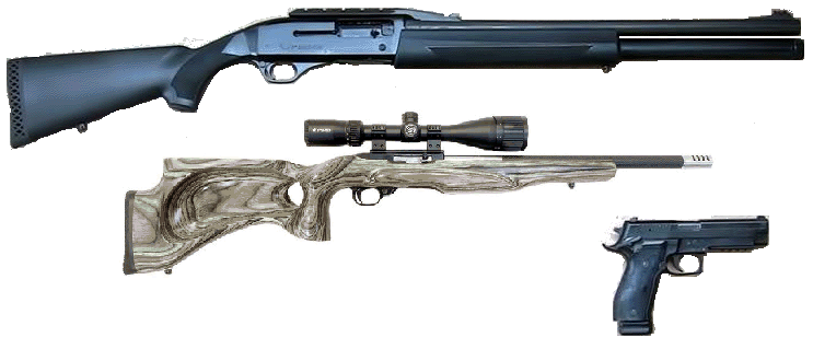 3 Guns