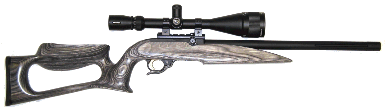 Ruger 10-22