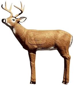 #-D Deer Target